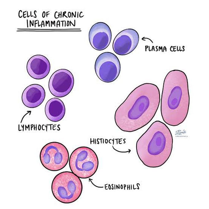 Chronic Inflammation