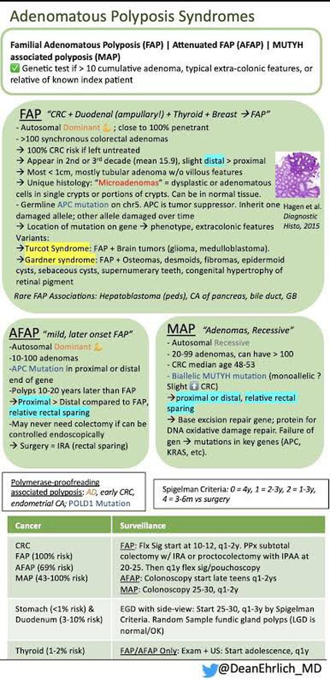 Adenomatous Polyposis Syndrome