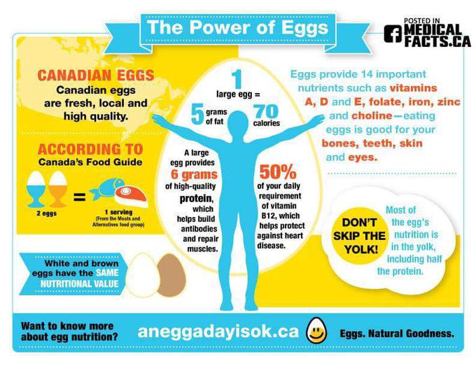 EGG