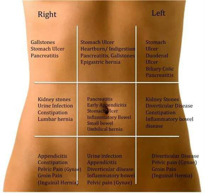 9 landmarks of abdomen