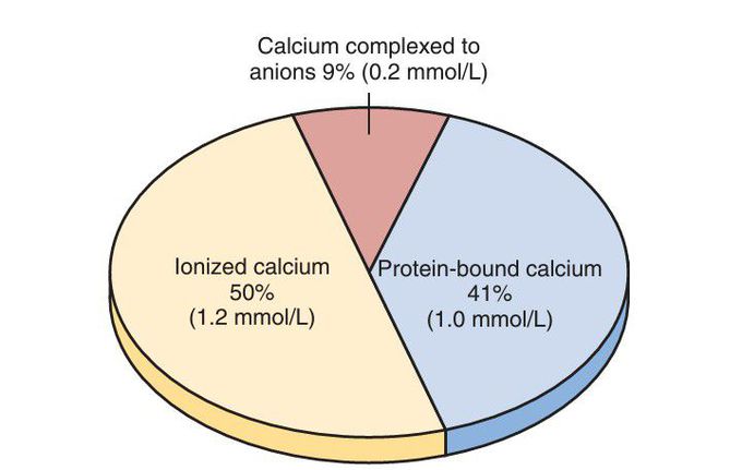 CALCIUM IN THE PLASMA  AND INTERSTITIAL FLUID