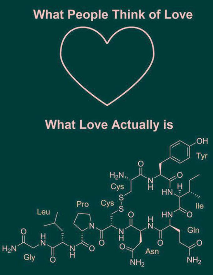 reality