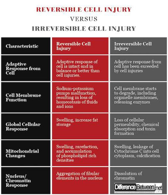 Reversible and Irreversible Cell injury