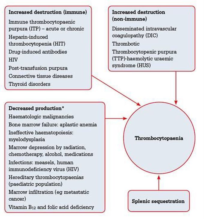 Clinical manifestations of thrombocytopenia