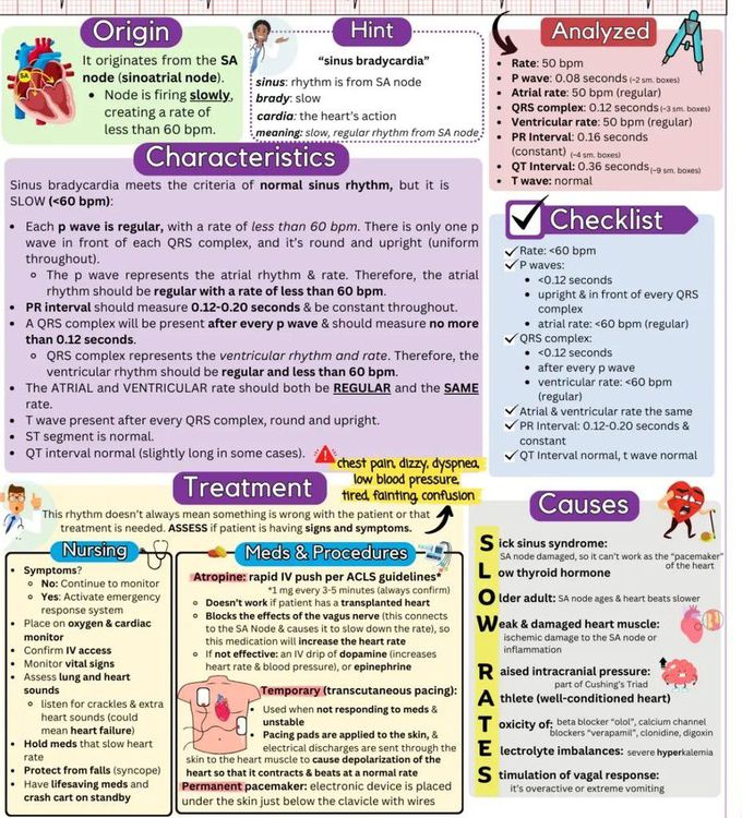 Sinus Bradycardia