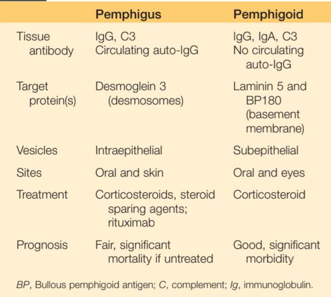 Pemphigue vulgaris vs Mucous membrane pemphigoid