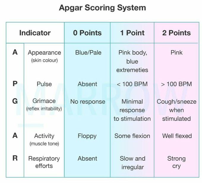 Newborn Score