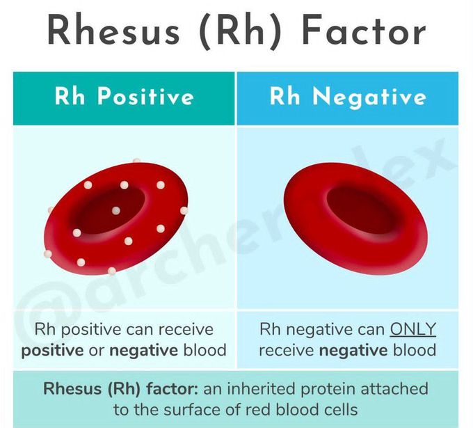 Rh Factor - MEDizzy