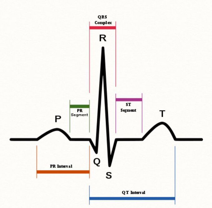 PR interval