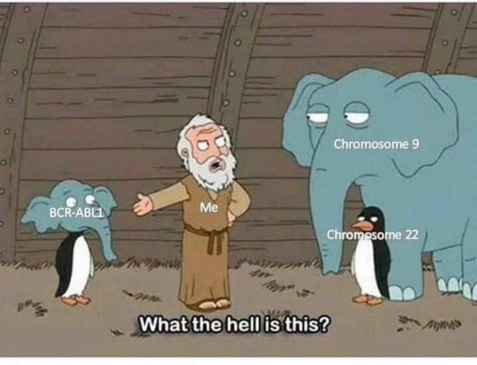CML leukaemia