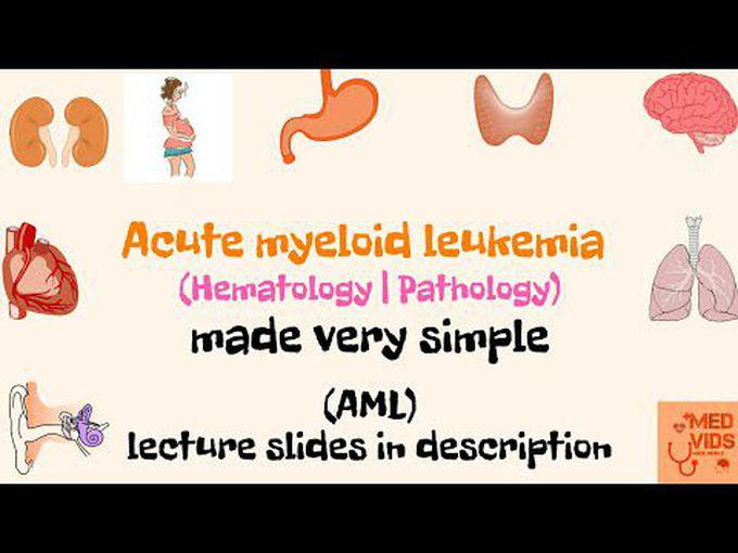Introduction to the pathology of Acute Myeloid Leukaemia