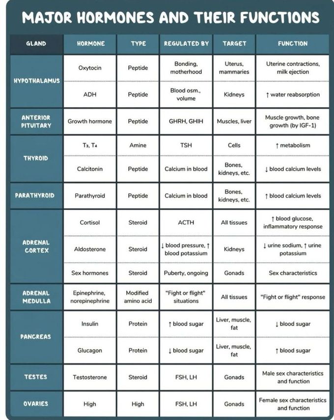 Major Hormones