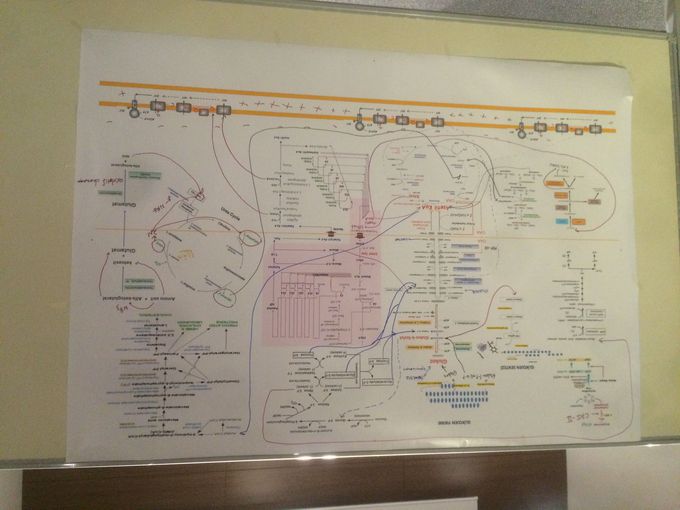 Metabolism of medical biochemistry