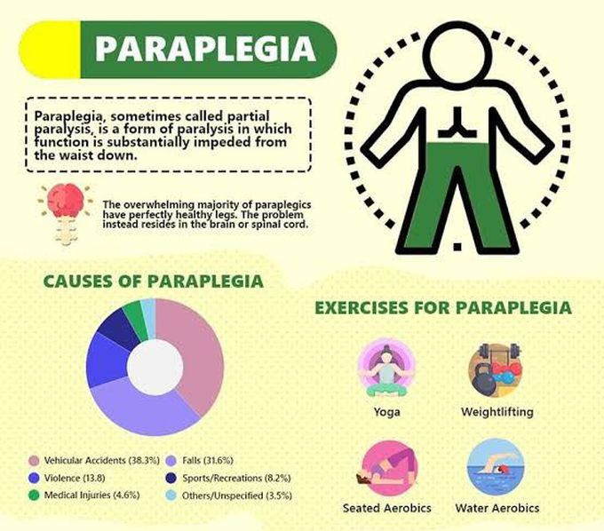 Paraplegia