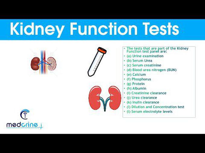 Renal Function Tests