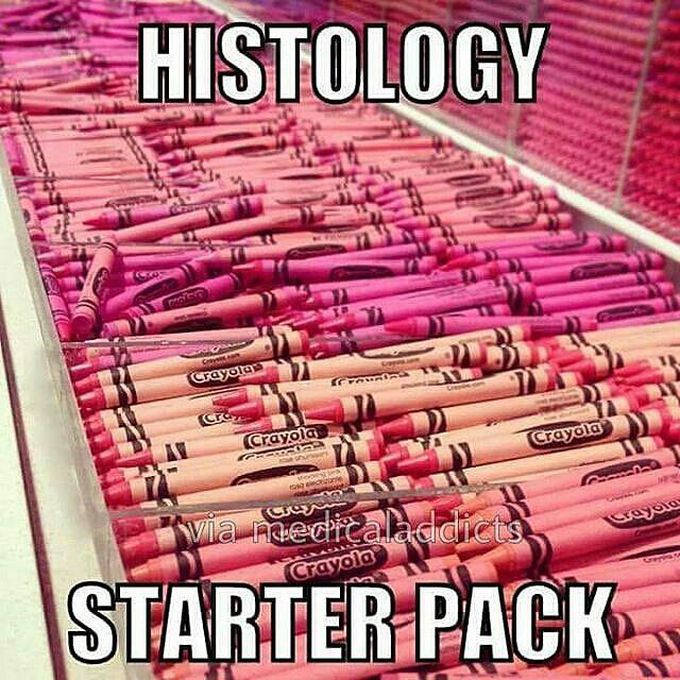 Histology Humor 2869