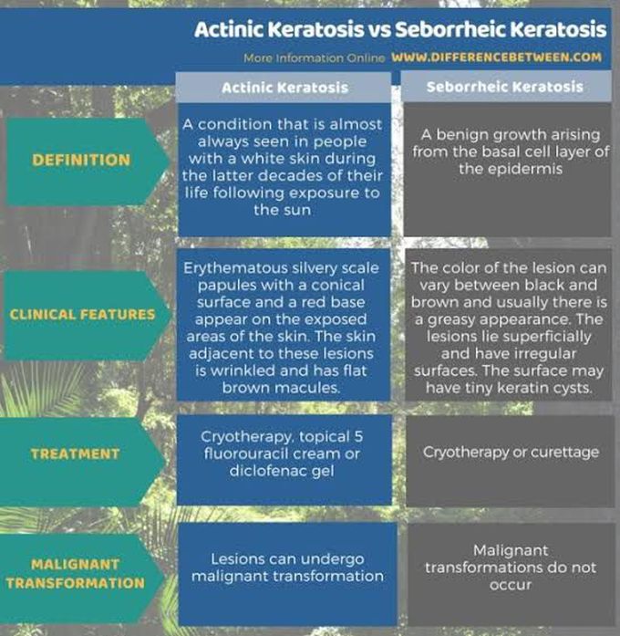 Actinic Keratosis vs Seborrheic Keratosis