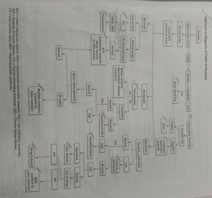 Diagnosis Of Anemia