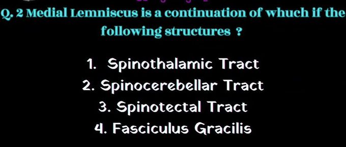 Medial Lemniscus