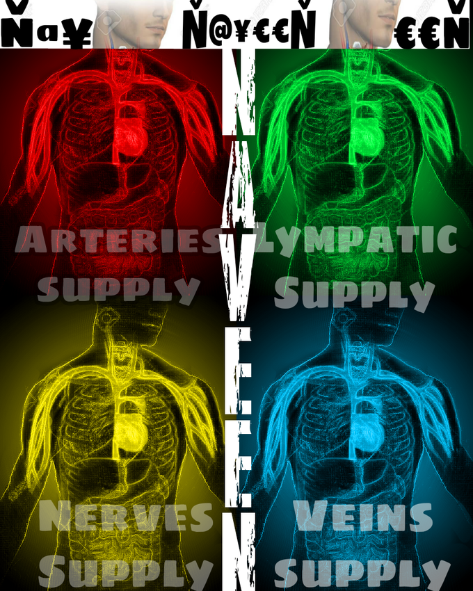Human Body supply *Color Code*