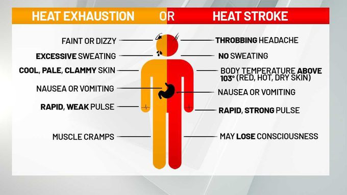 Heat Stroke vs Heat Exhaustion - MEDizzy