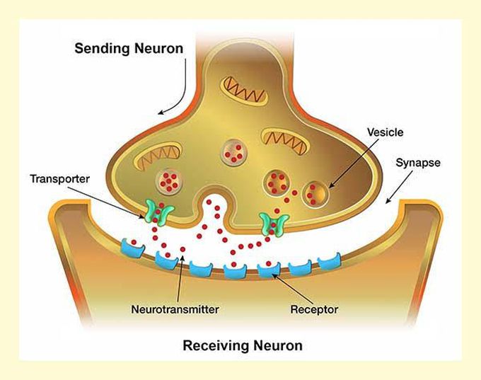 Neuro transmitter