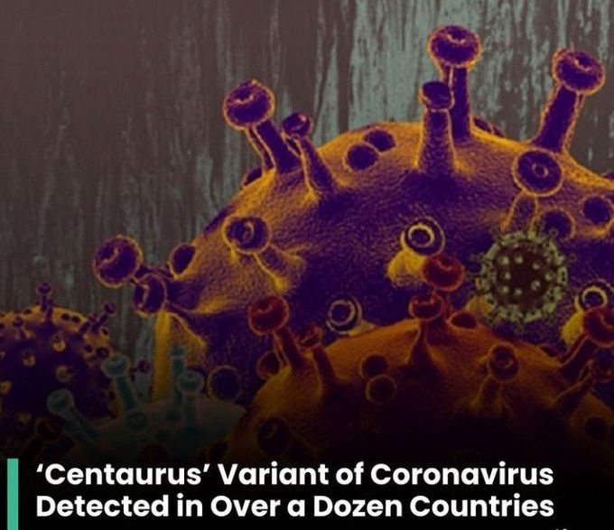 Centaurus Variant of Corona Virus!