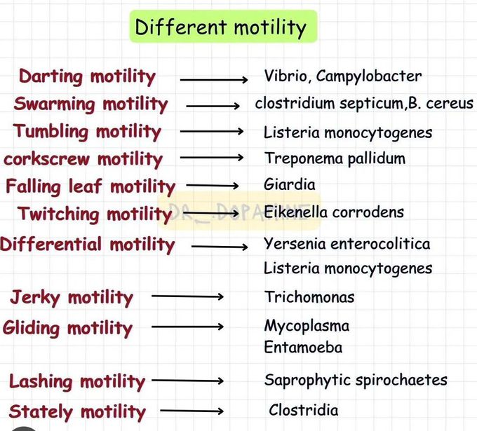 Different Motility