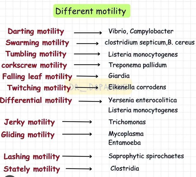 Different Motility