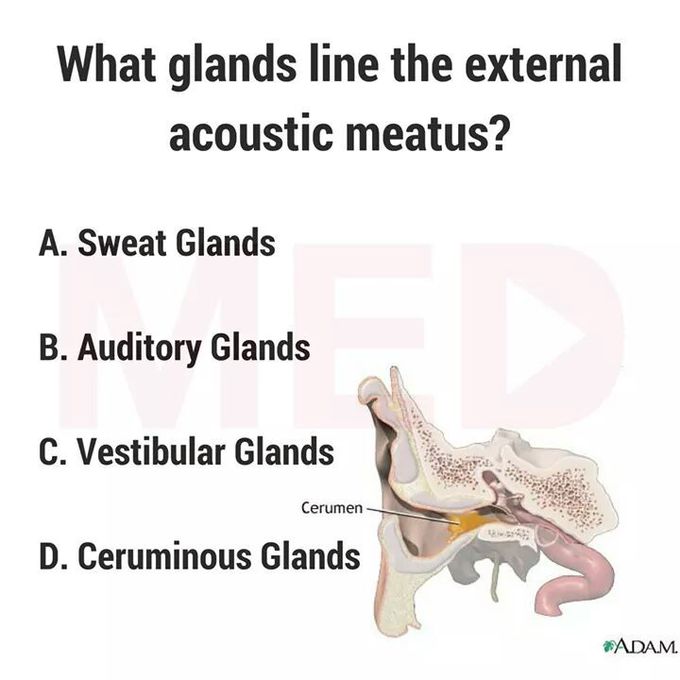 Answer this ?