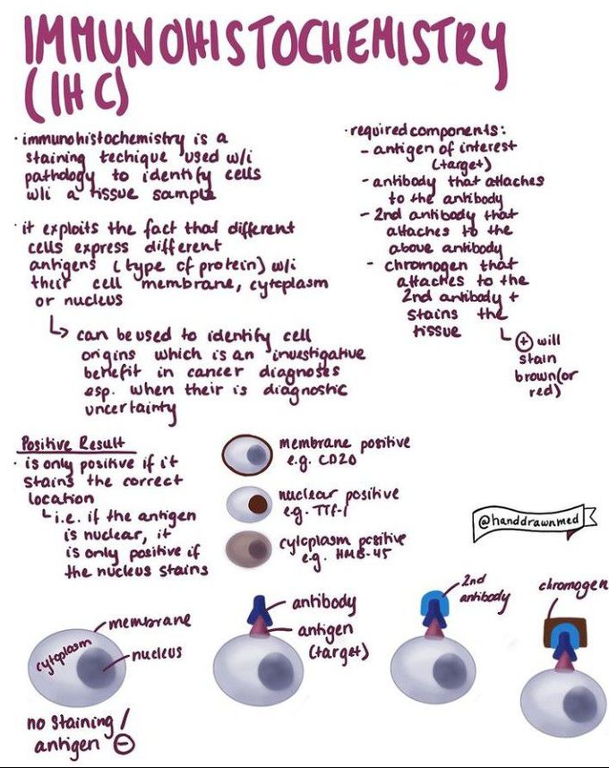 Immunohistochemistry