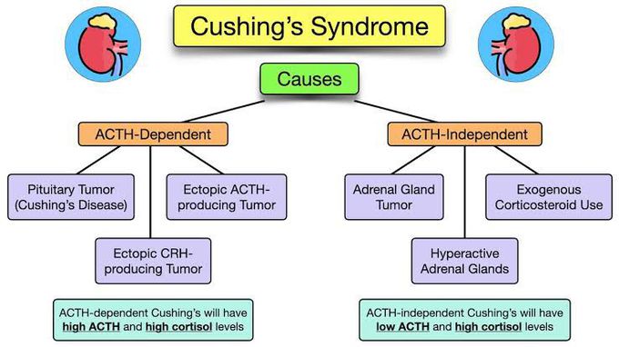 Cushing Syndrome Causes