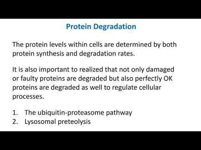 Proteins degradation pathways