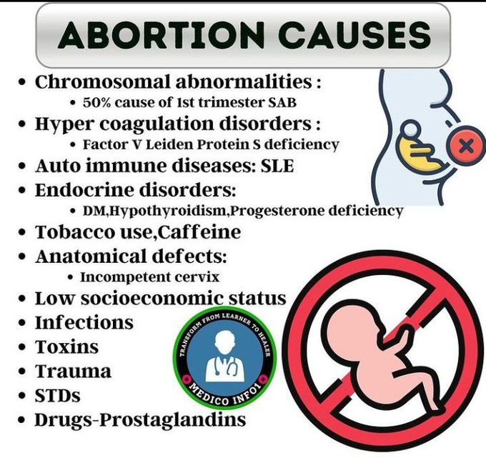 Causes of abortion