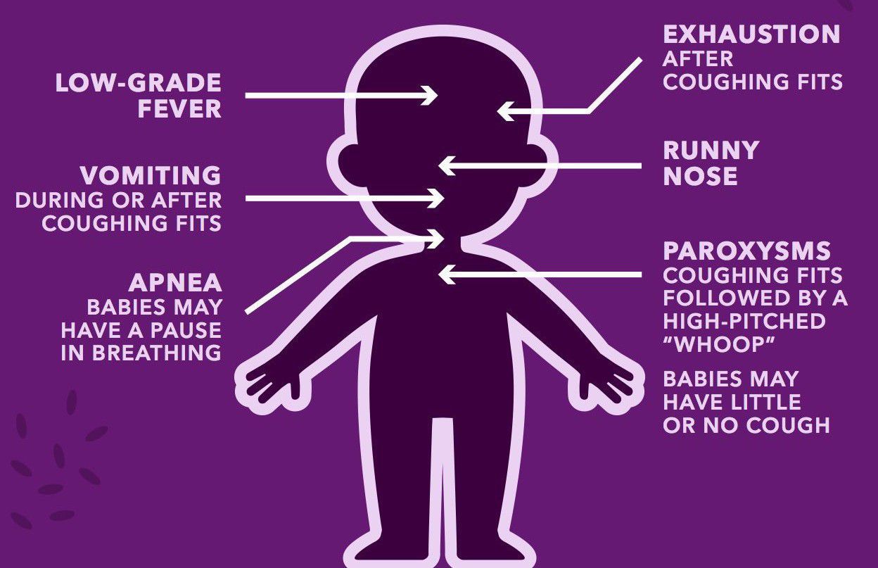 Symptoms of Whooping Cough MEDizzy