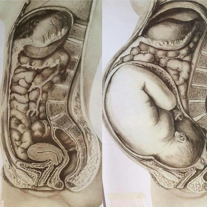 Pregnancy...
