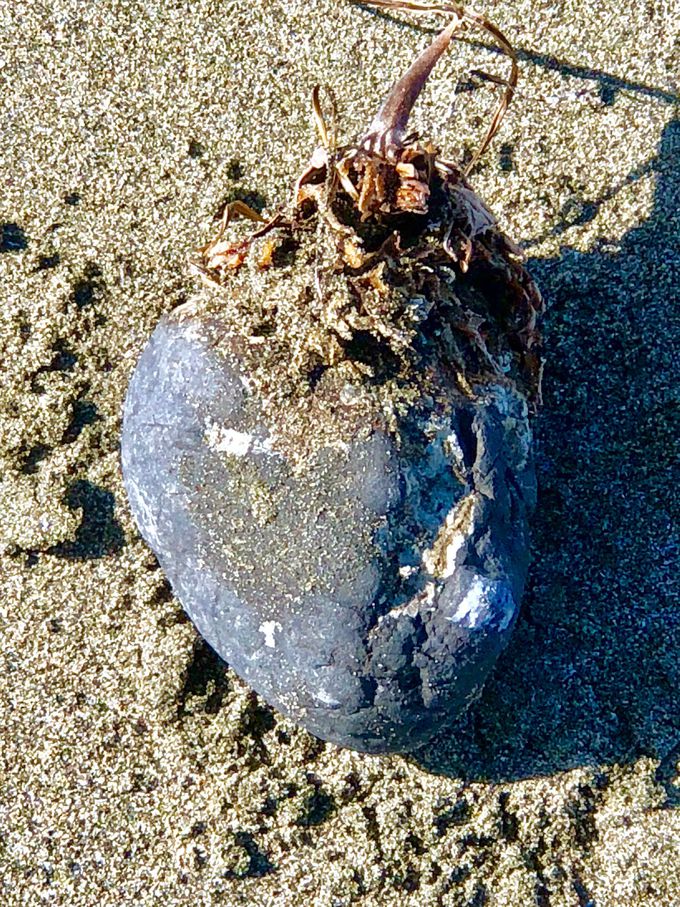 Heart of the Ocean