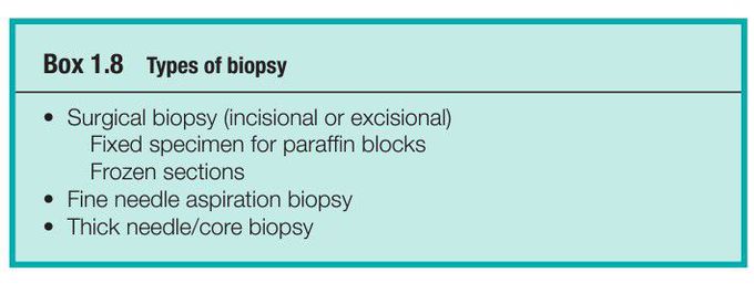 Types of biopsy