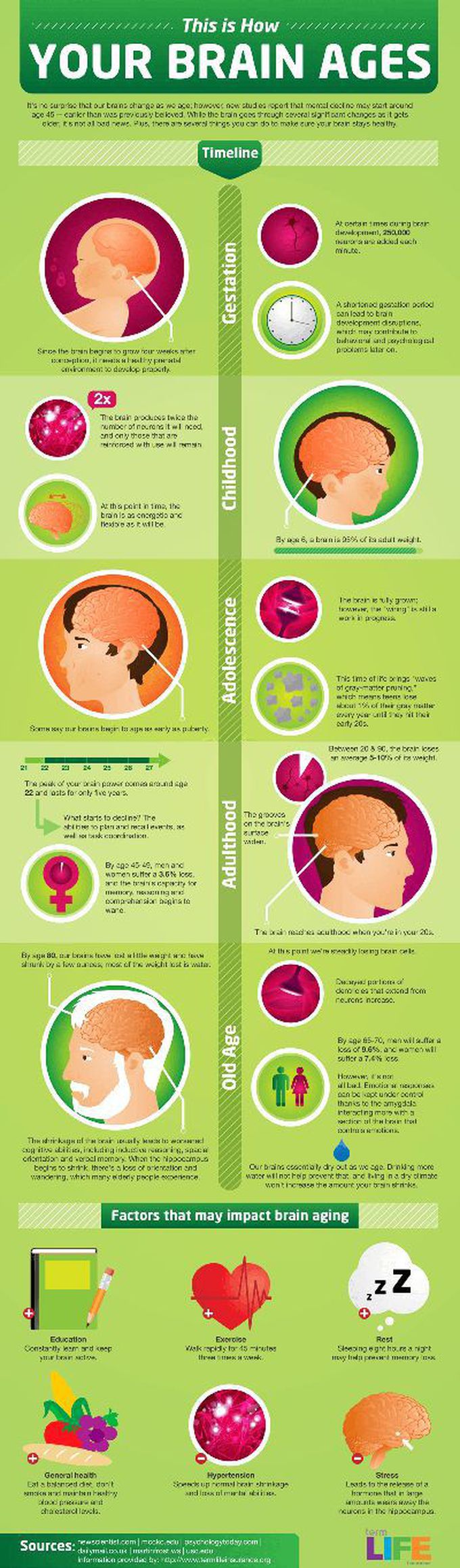 Brain aging