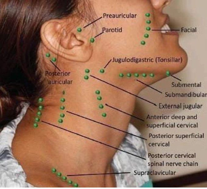 Lymph Nodes of Head and Neck