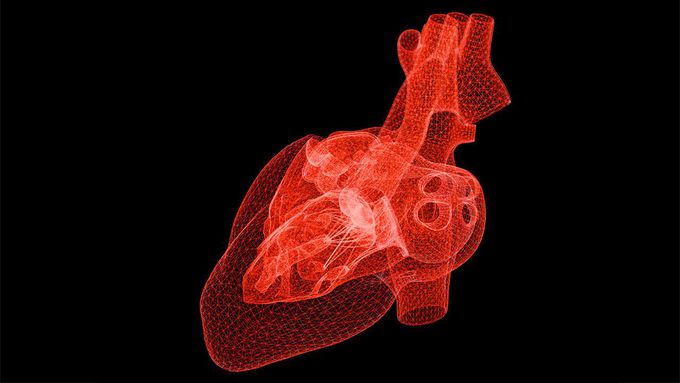 Self-taught artificial intelligence beats doctors at predicting heart attacks