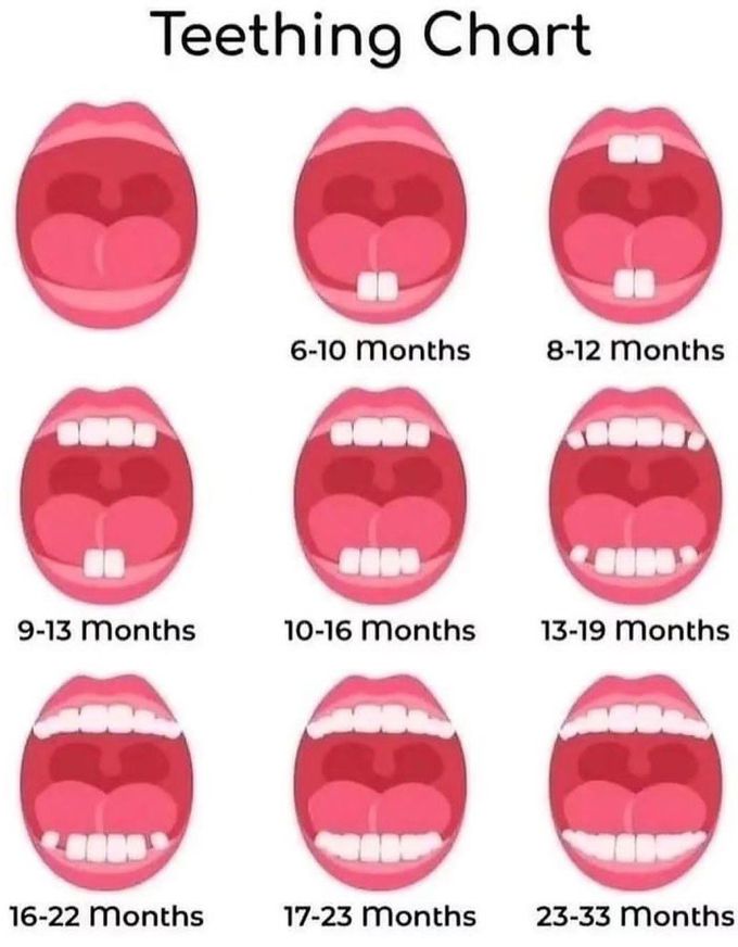 Teething Chart