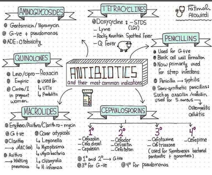 Antibiotics - MEDizzy