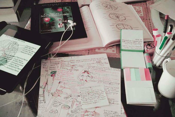 Studies 💞 some information from what i am studying 💞