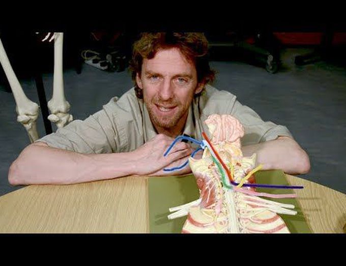 Neuroanatomy, decussations, commissures, spinal tracts, upper & lower motor neurones