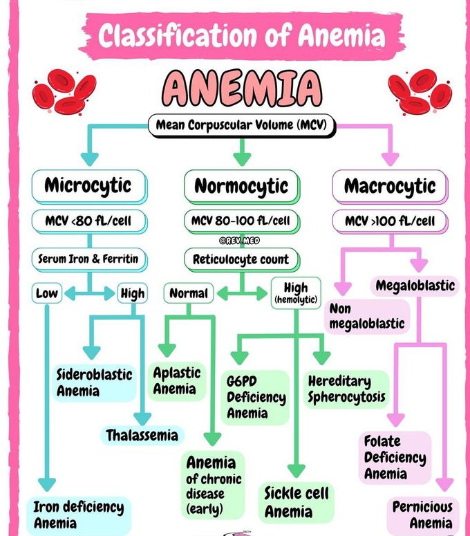 Classification of Anemia