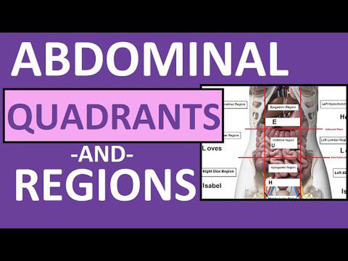Four Quadrants and Nine Regions of Abdomen