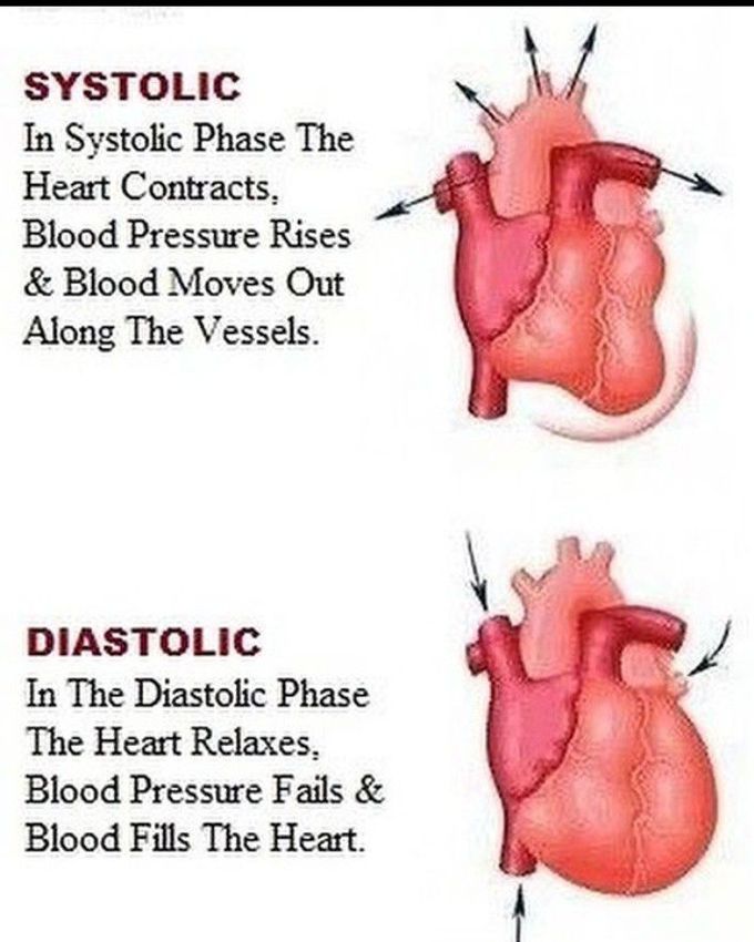Systole and diastole