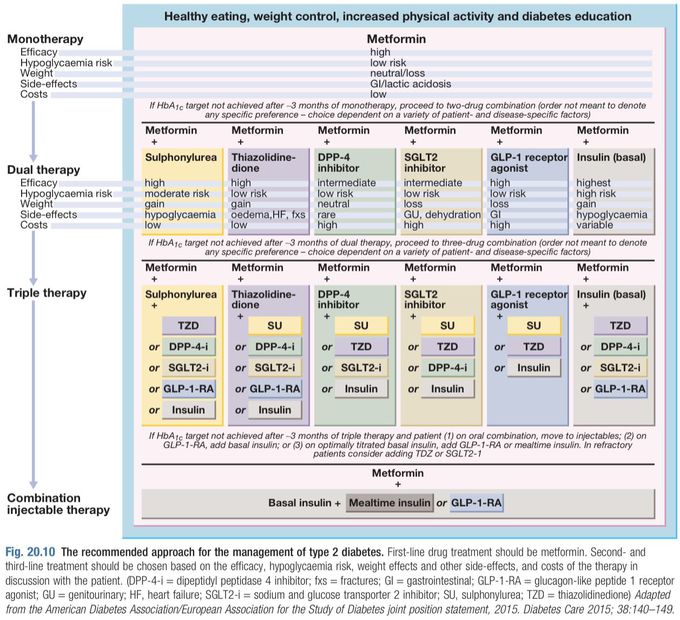 Approach to Management of Type 2 Diabetes