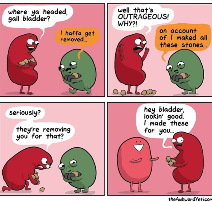 Kidney, really?! 😂